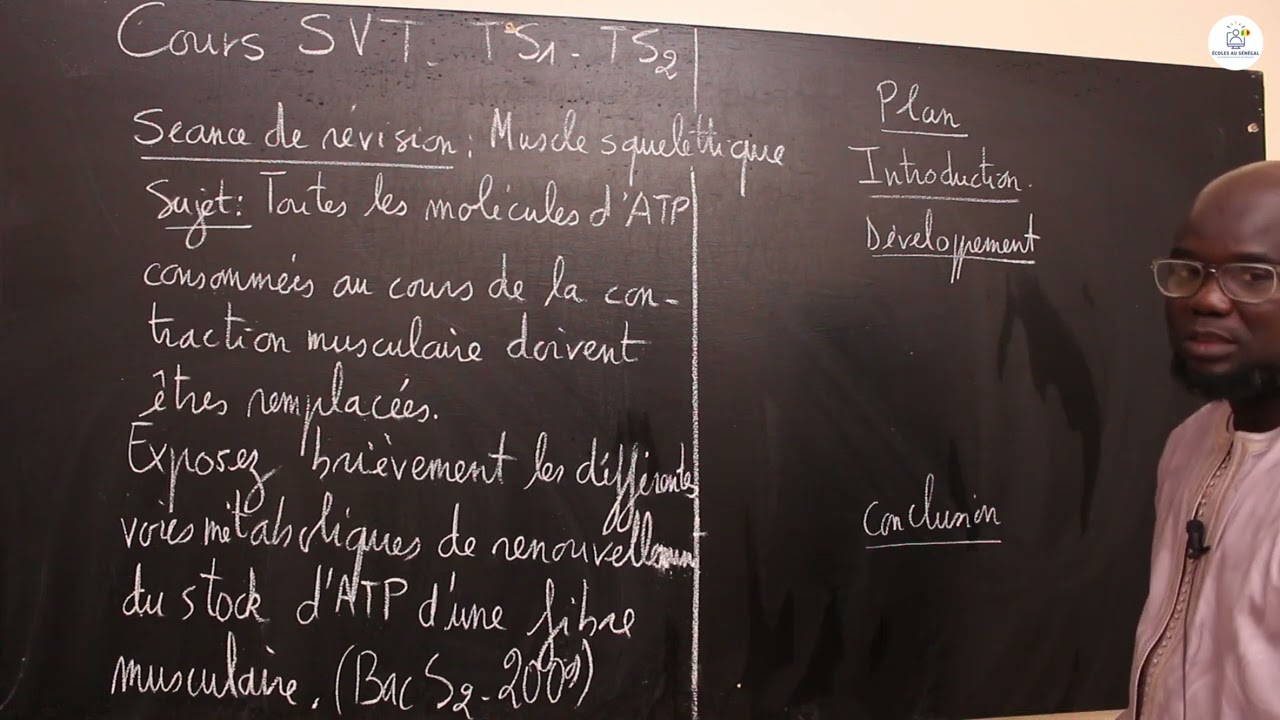 Exercices - Tle S1 & S2 - SVT: Révision / L'activité du muscle squelettique / Bac S2 2009 /M. Gnasse