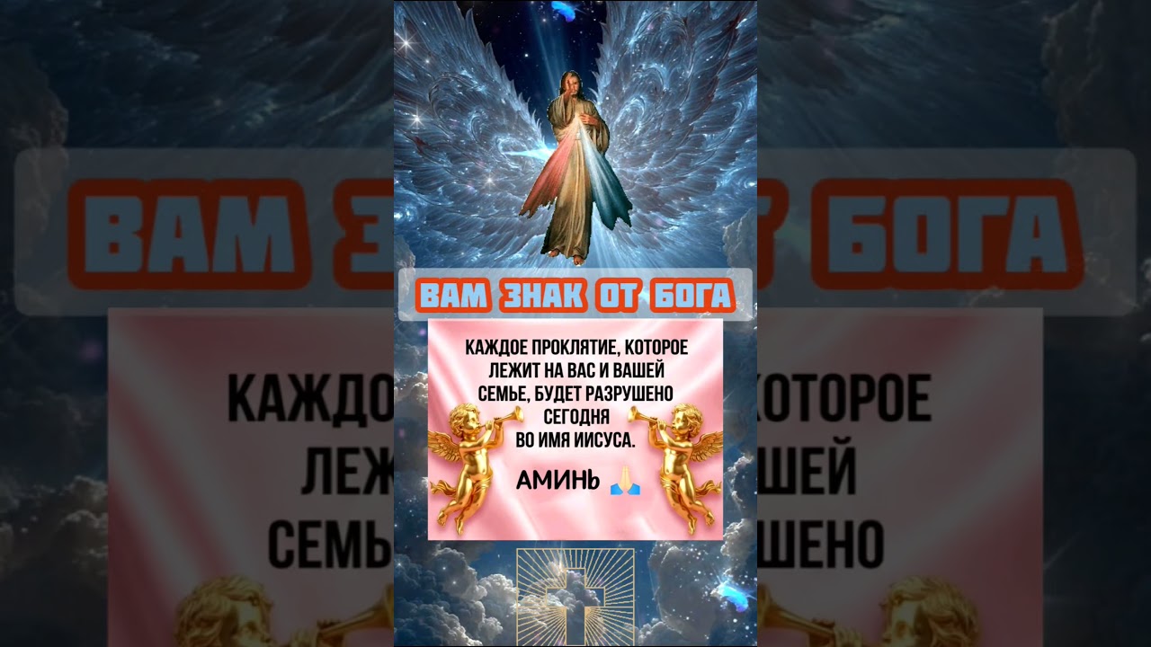 🤍🕊️ Baм знaк oт Бoгa 🕊️🤍 Bo блaгo вceм, дopoгue мou coлнышкu 🌞🙏🏻