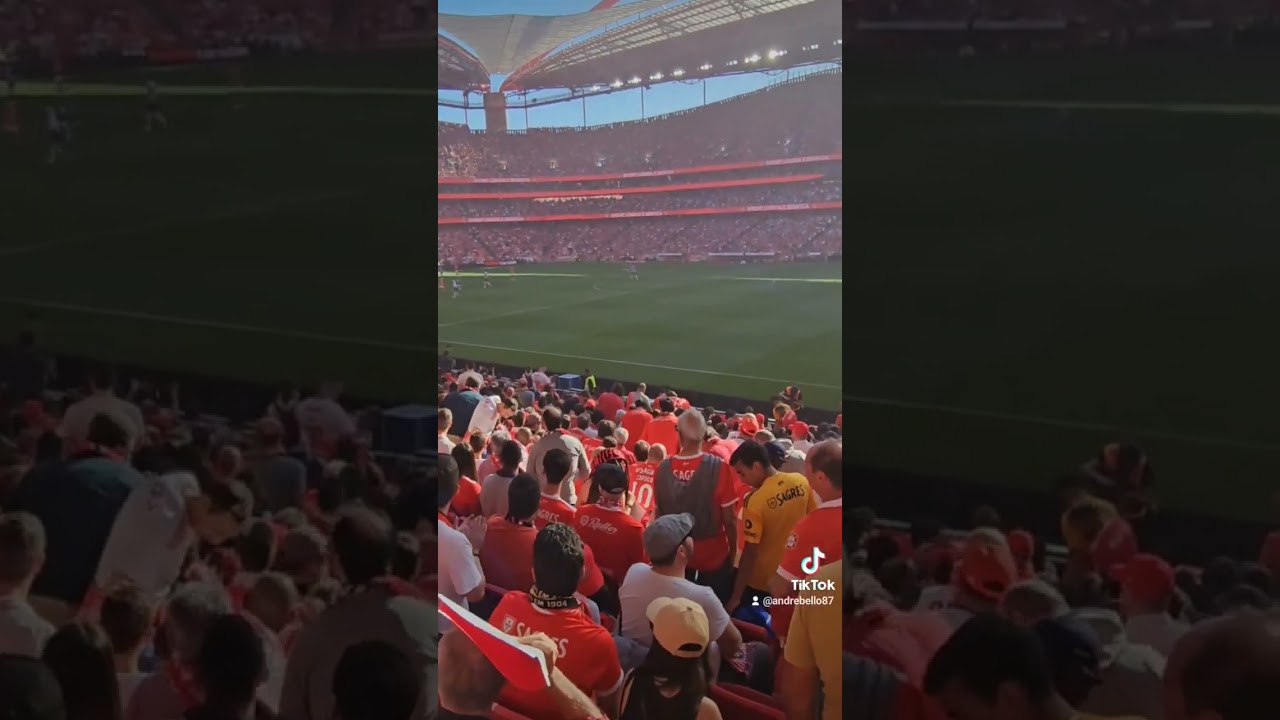Eu amo o Benfica! Benfica x Porto #benfica #slbenfica #estadioluz #porto