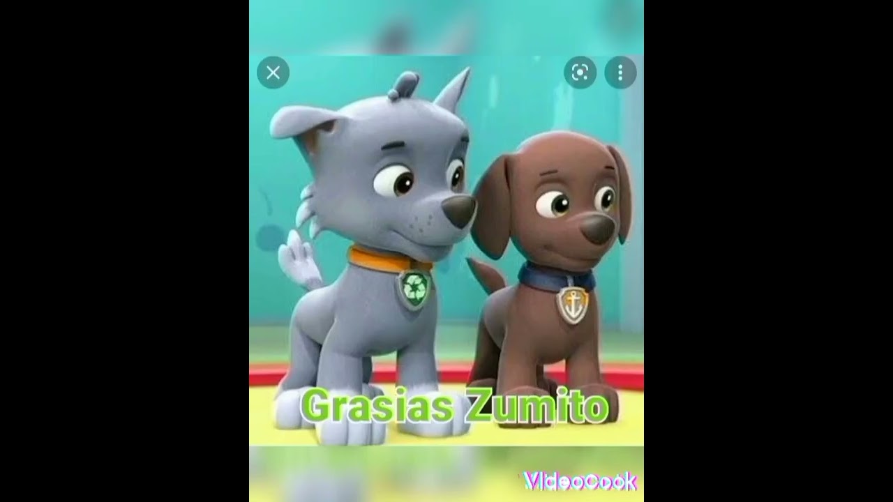 Rocky x Zuma capitulo 10 gran final