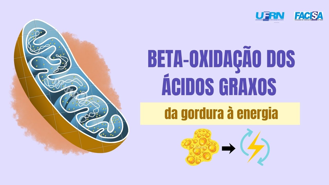 Beta oxidação dos ácidos graxos 