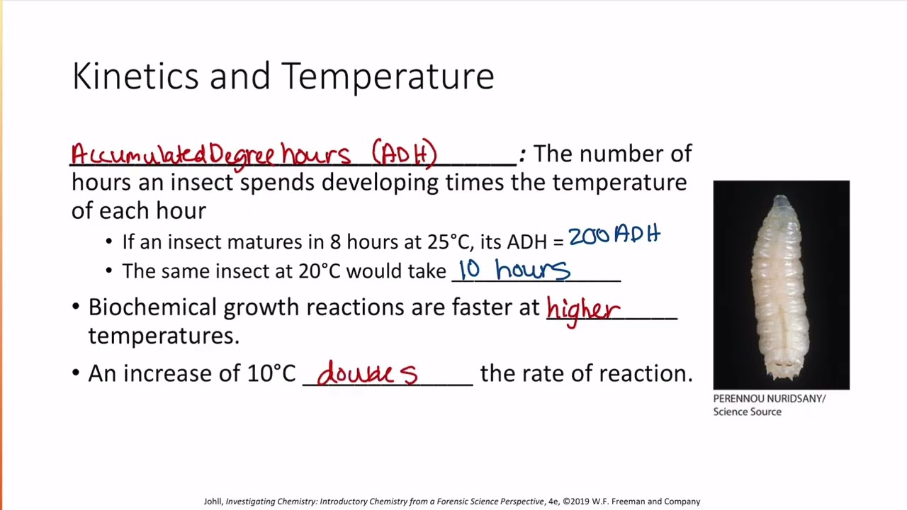 CHEM& 110: chemical Kinetics