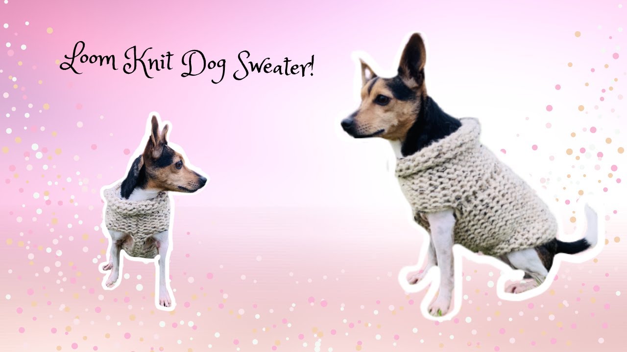 How to Loom Knit A Dog Sweater! (Revised)| Round Loom Tutorial