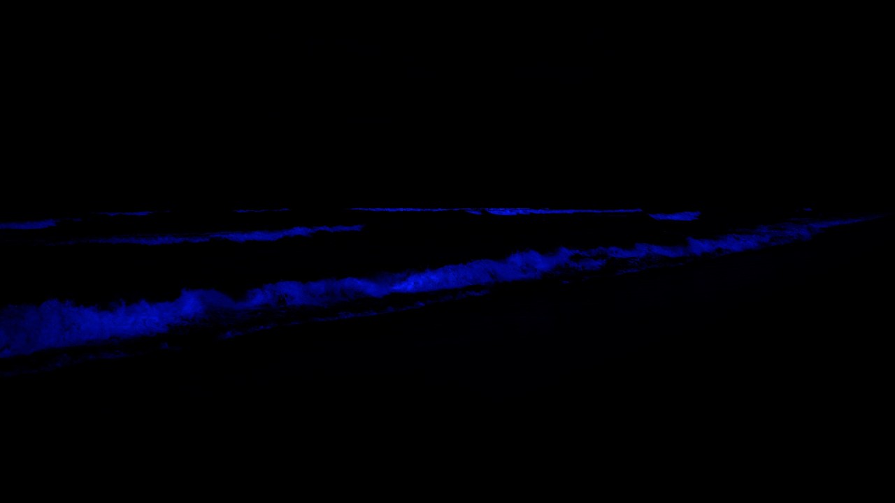 (Senza pubblicit&agrave;) Basta pensare troppo 💤 Le onde dell'oceano mettono fine alle notti insonni