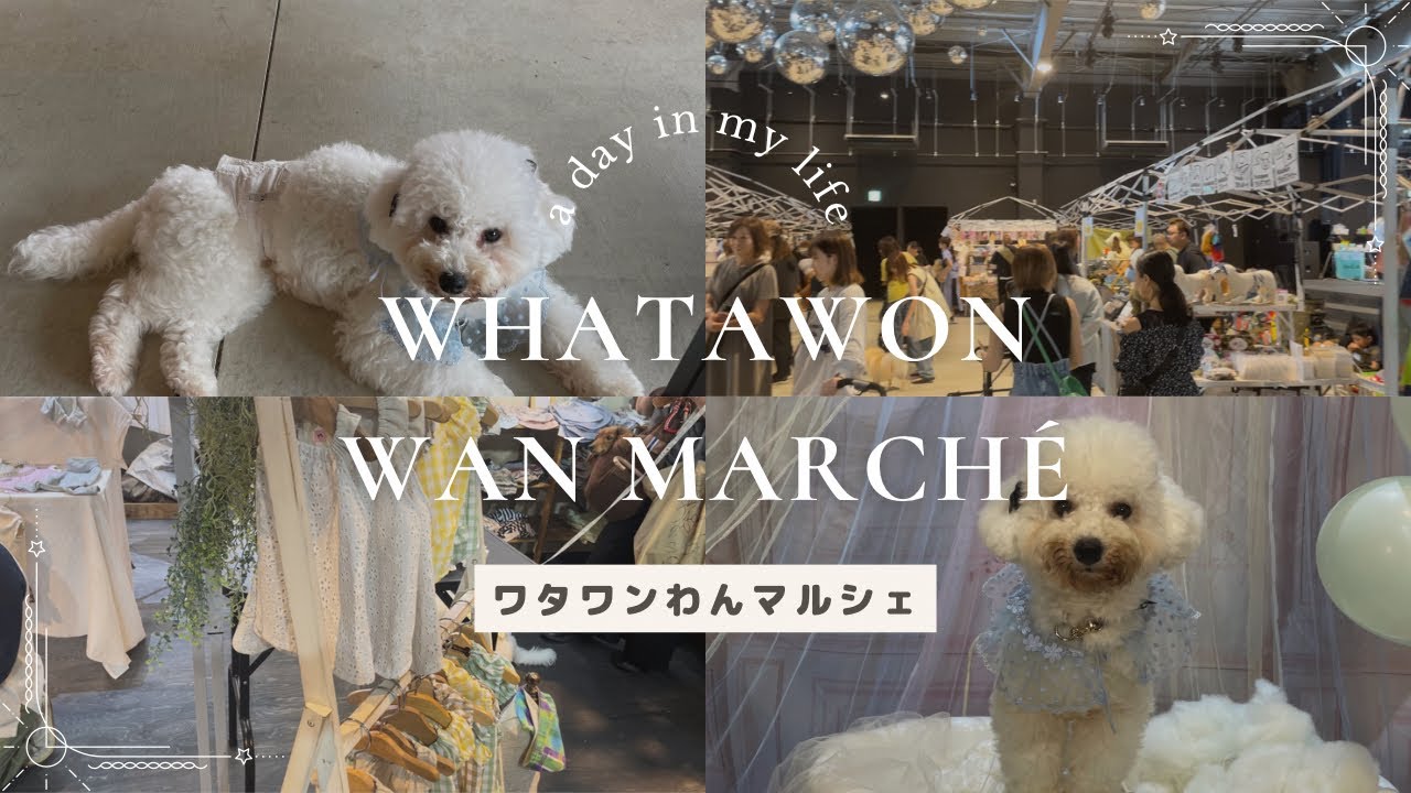 【犬イベント】初開催のワタワンわんマルシェに行ってきました！　WHATAWON / 愛犬とお出かけ / ビションフリーゼ / 大阪府岸和田市