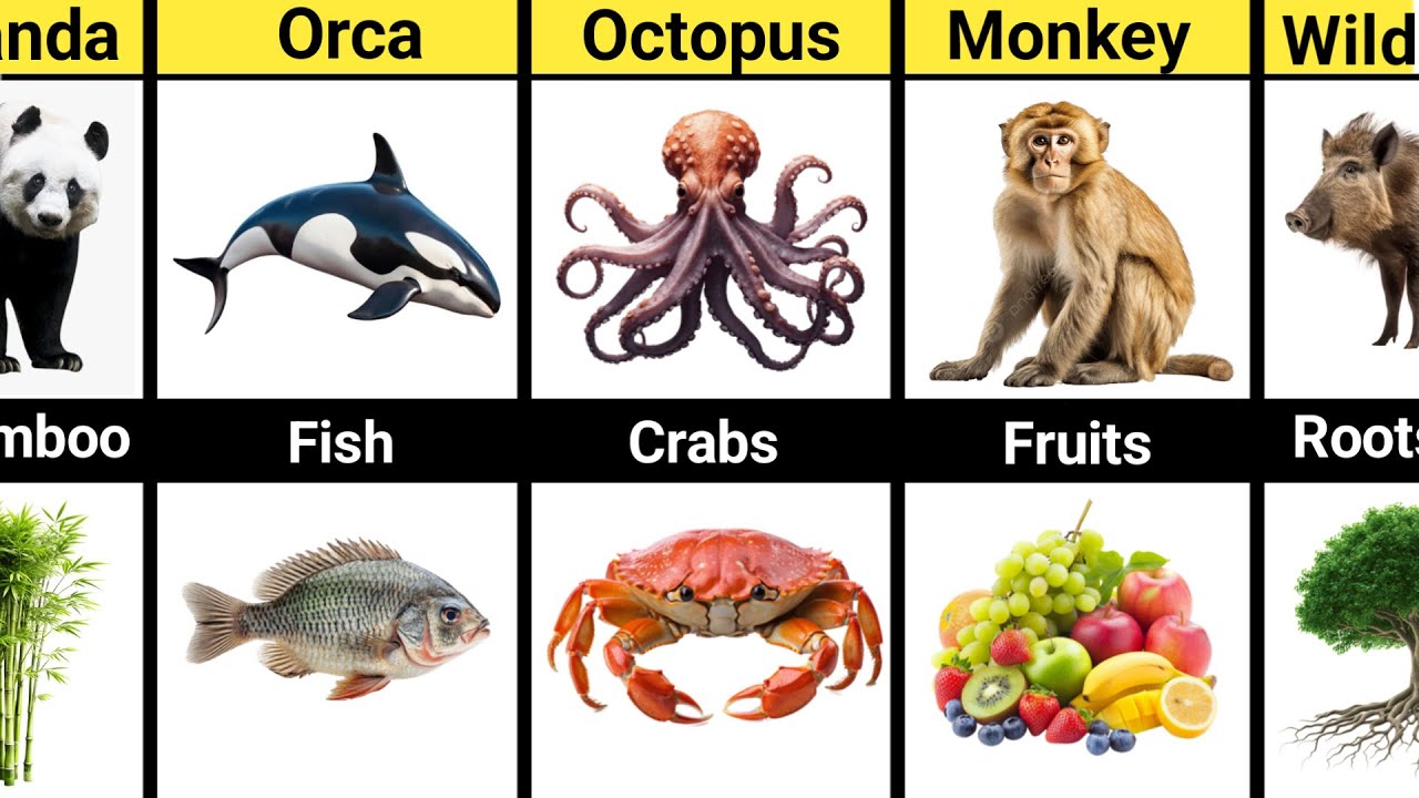 Animals’ Favorite Foods They Can’t Stop Eating 🤯