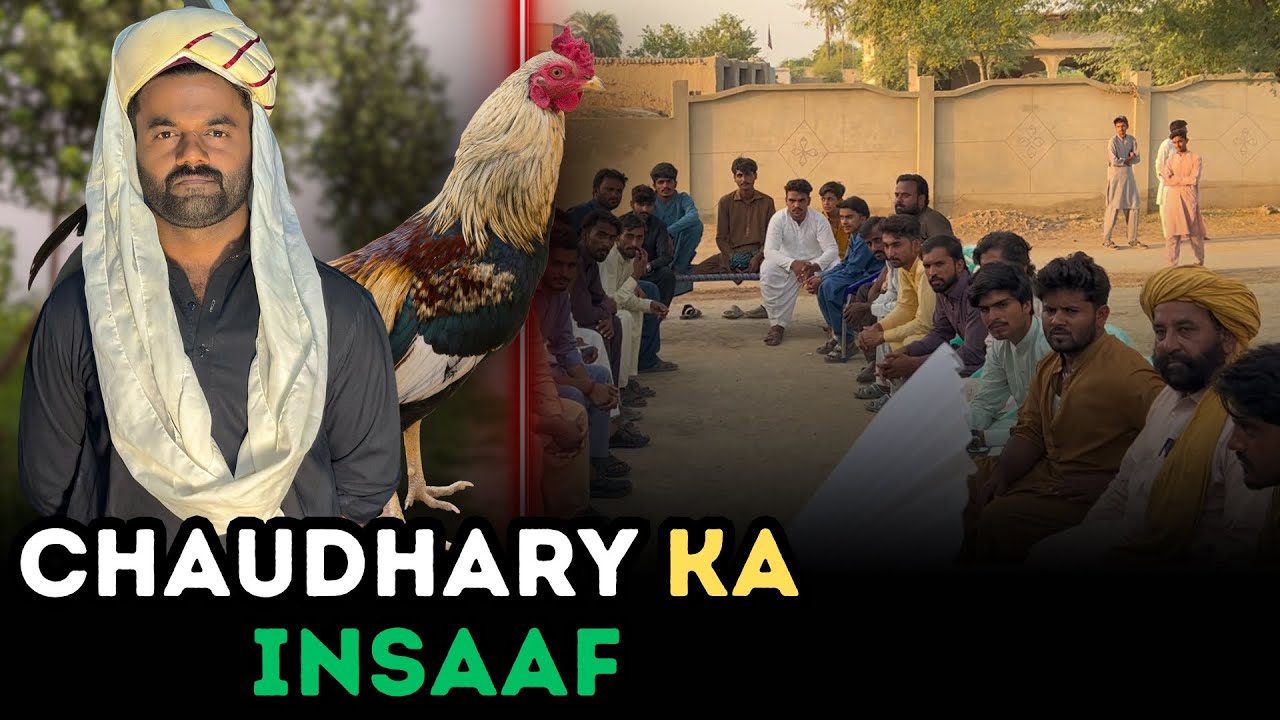 Chaudhary Vs Murgha 🐓 | Funny Story 😂 | Malik Yousaf