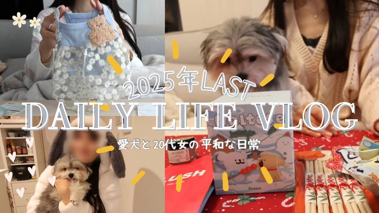 【2025年LAST DAILY LIFE VLOG】ボロボロにされちゃったものを直す日常❤️‍🩹🐶/初、愛犬の自己紹介します/iHerb購入品紹介/ロフト，LUSH，GUで可愛いもの探してきたよ🛍️