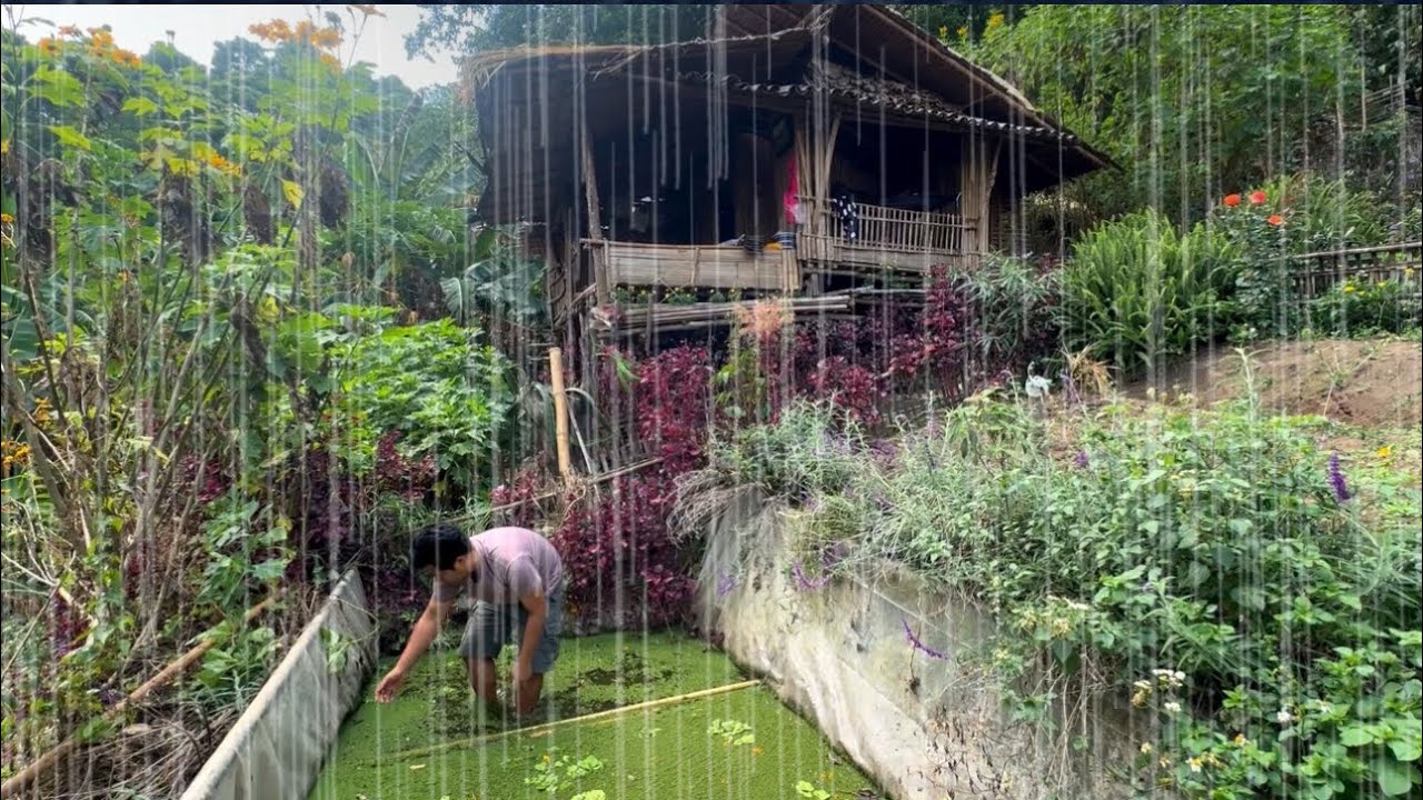 ใช้ชีวิตในป่าไร่นาEP.361 ฝนตก Doi Matters มาเยี่ยม ซ่อมหลังคา ทำอาหาร