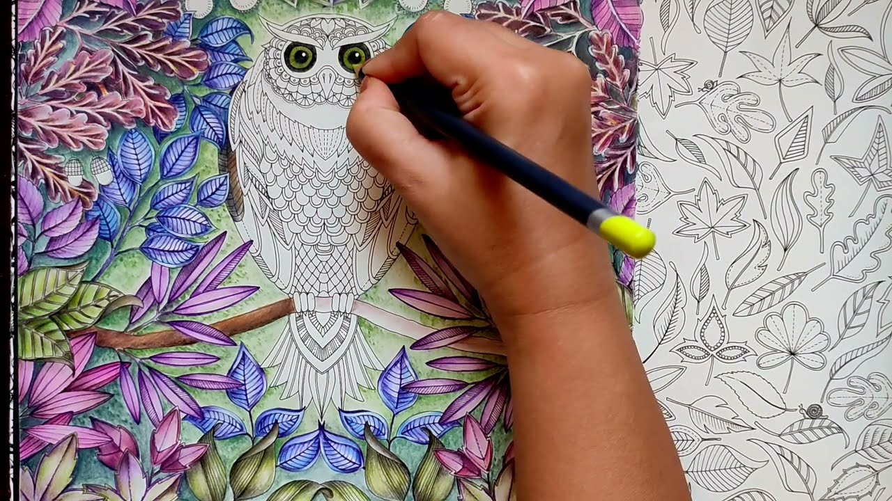 Owl Page - Final Part|Derwent Pencils|Secret Garden|Johanna Basford|