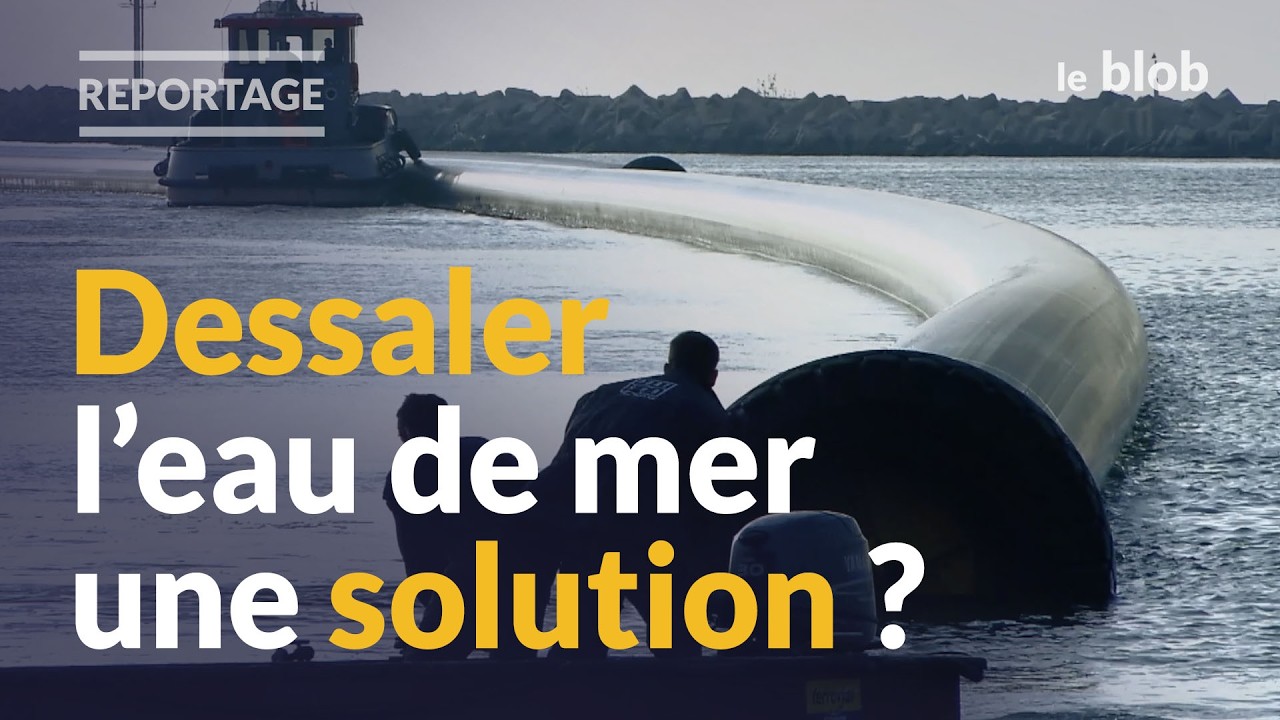 Dessalement, recyclage des eaux usées : le plan de Barcelone face à la sécheresse | Reportage