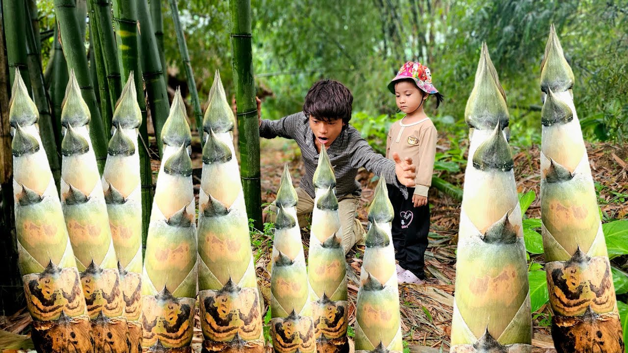 Two homeless children harvest giant bamboo shoots to barter for food
