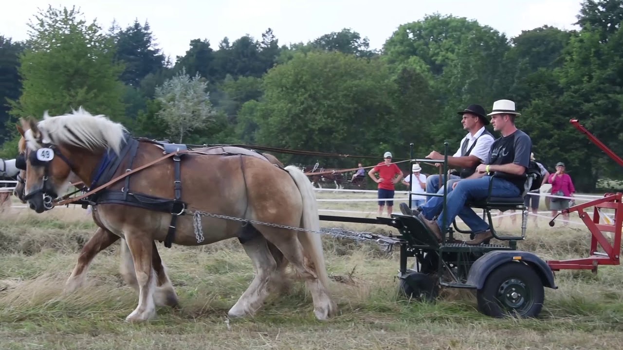PferdeStark2019 Landwirtschaft