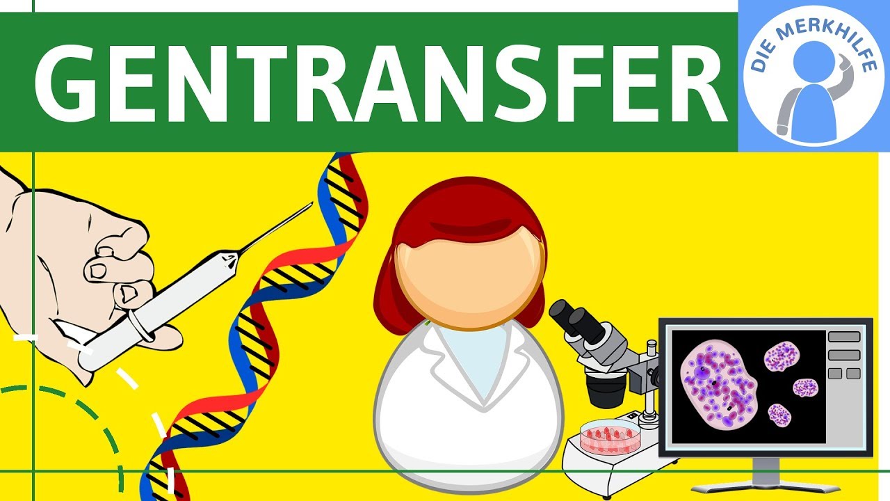 Methoden des Gentransfers - Vektoren, Gentaxis einfach erkl&auml;rt, Werkzeuge & Grundlagen, Gentechnik 2