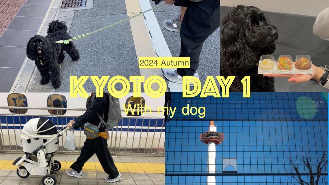 【犬と旅行】新幹線で行く秋の京都旅1日目