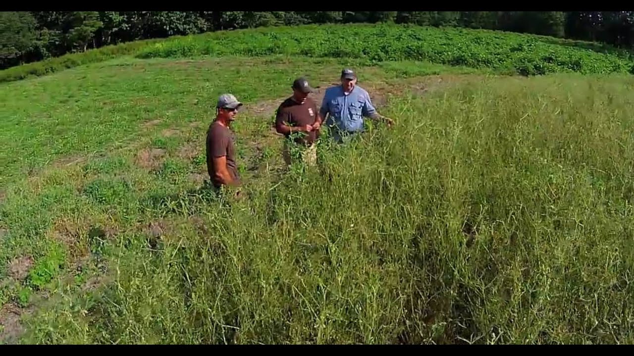 Validation - The Management Advantage #60