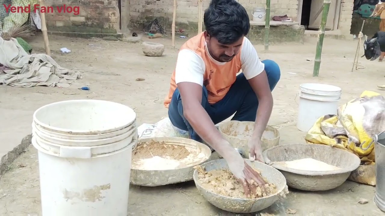 Pig farm|pork farming recipe|गांव में सुअर को कैसे पालते है।