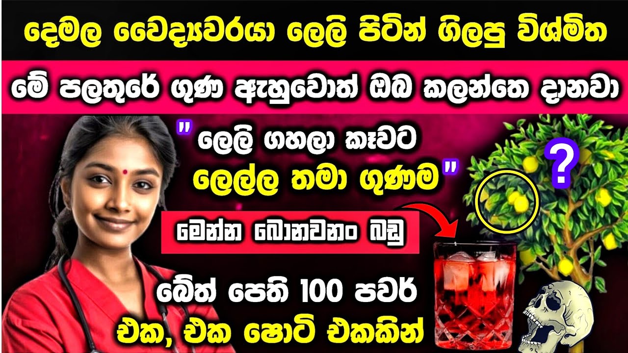 සුද්දෝ පිස්සුවෙන් වගේ බොන අපේ 