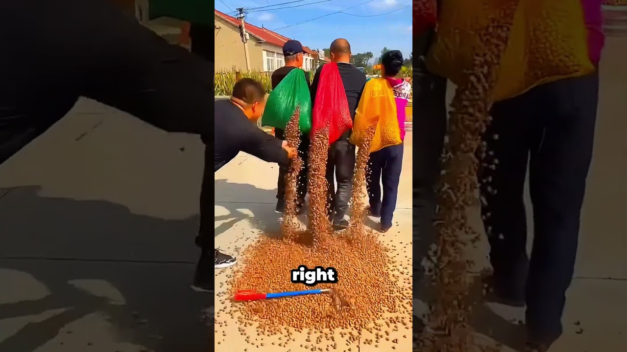 Папа, беги! Они воруют наши орехи! 🏃&zwj;♂️🌰