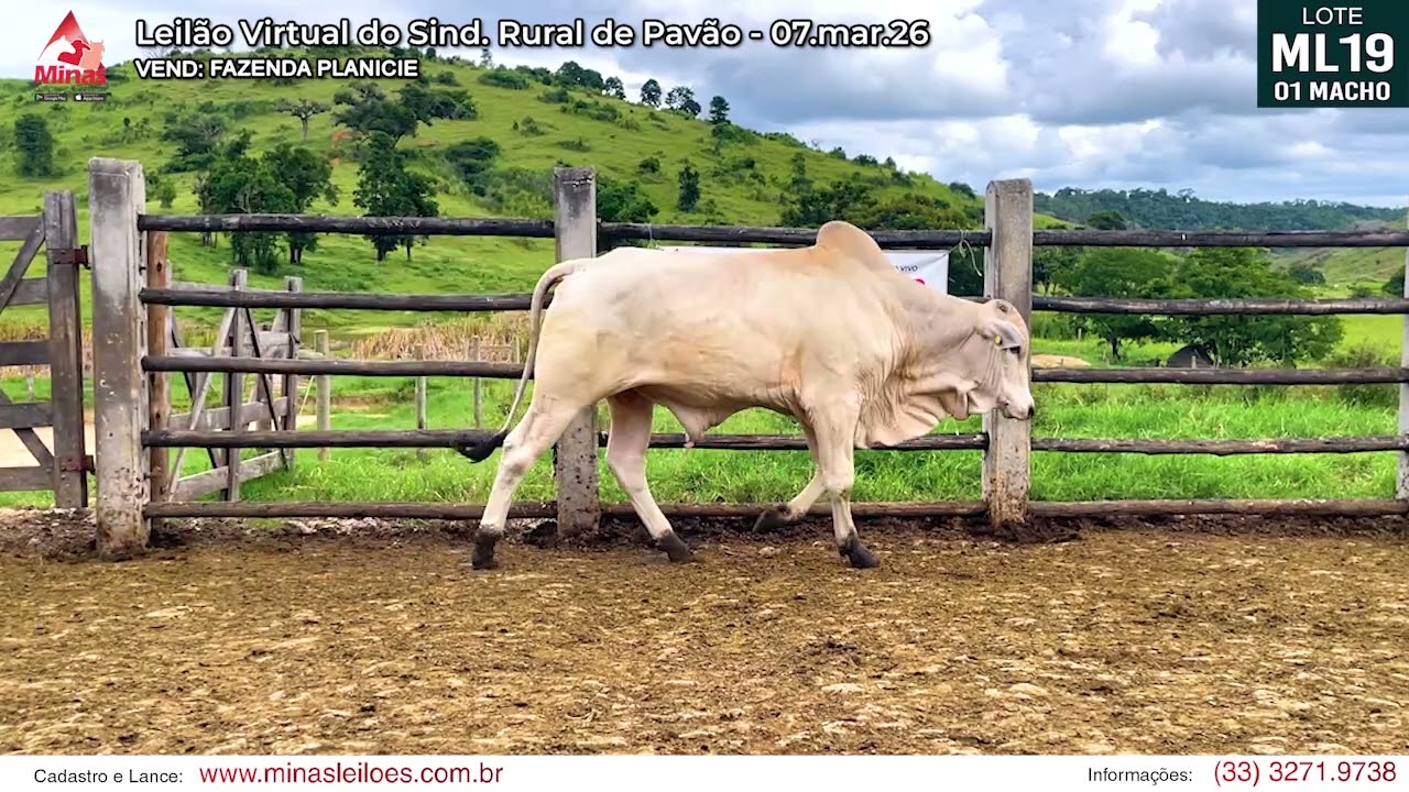 LOTE ML19