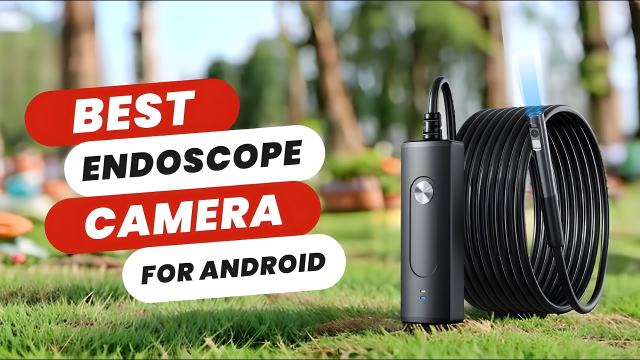 Best Endoscope Camera for Android | The Only 5 Recommend!