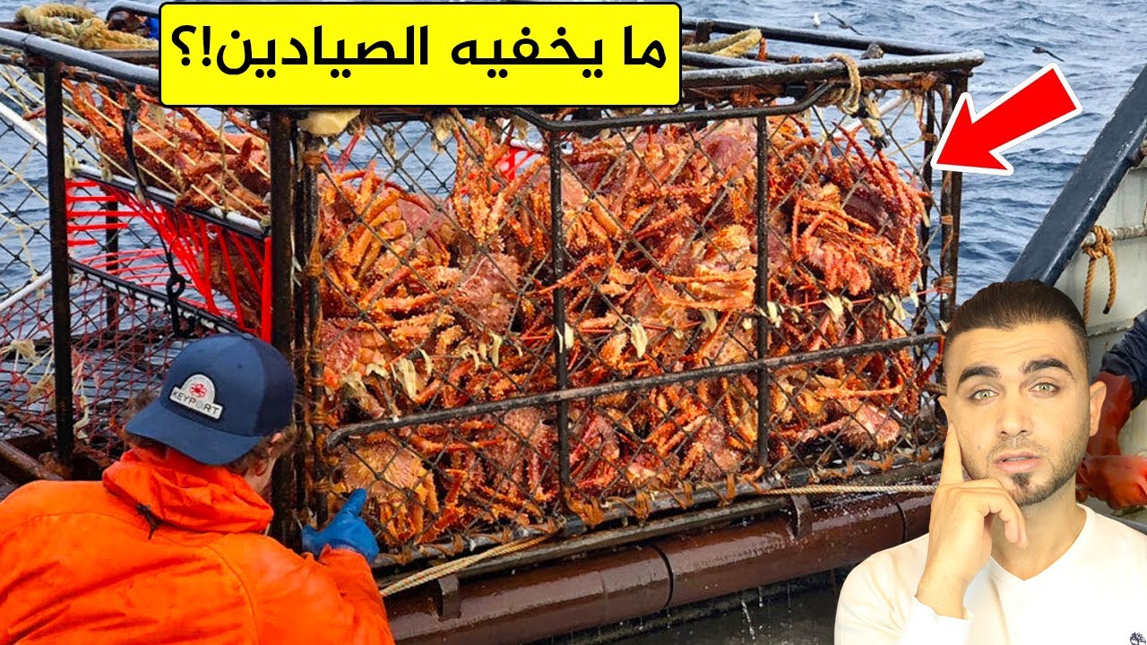 التنافس على صيد سلطعون البحر😱القبقب من الصيد حتى الأكل😱هل هو مفيد!؟