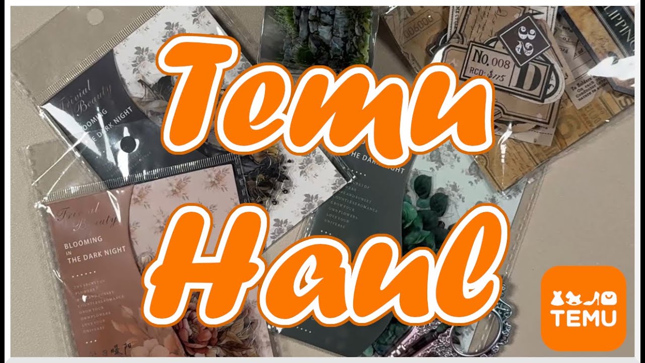 Ein viel zu großer Temu Haul || Das erste mal Temu || Juni 2025