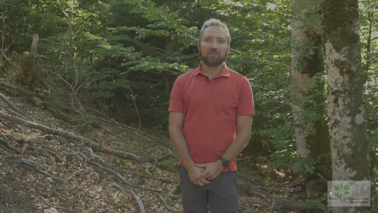 Quels travaux mener en Sylviculture M&eacute;lang&eacute;e &agrave; Couvert Continu ?