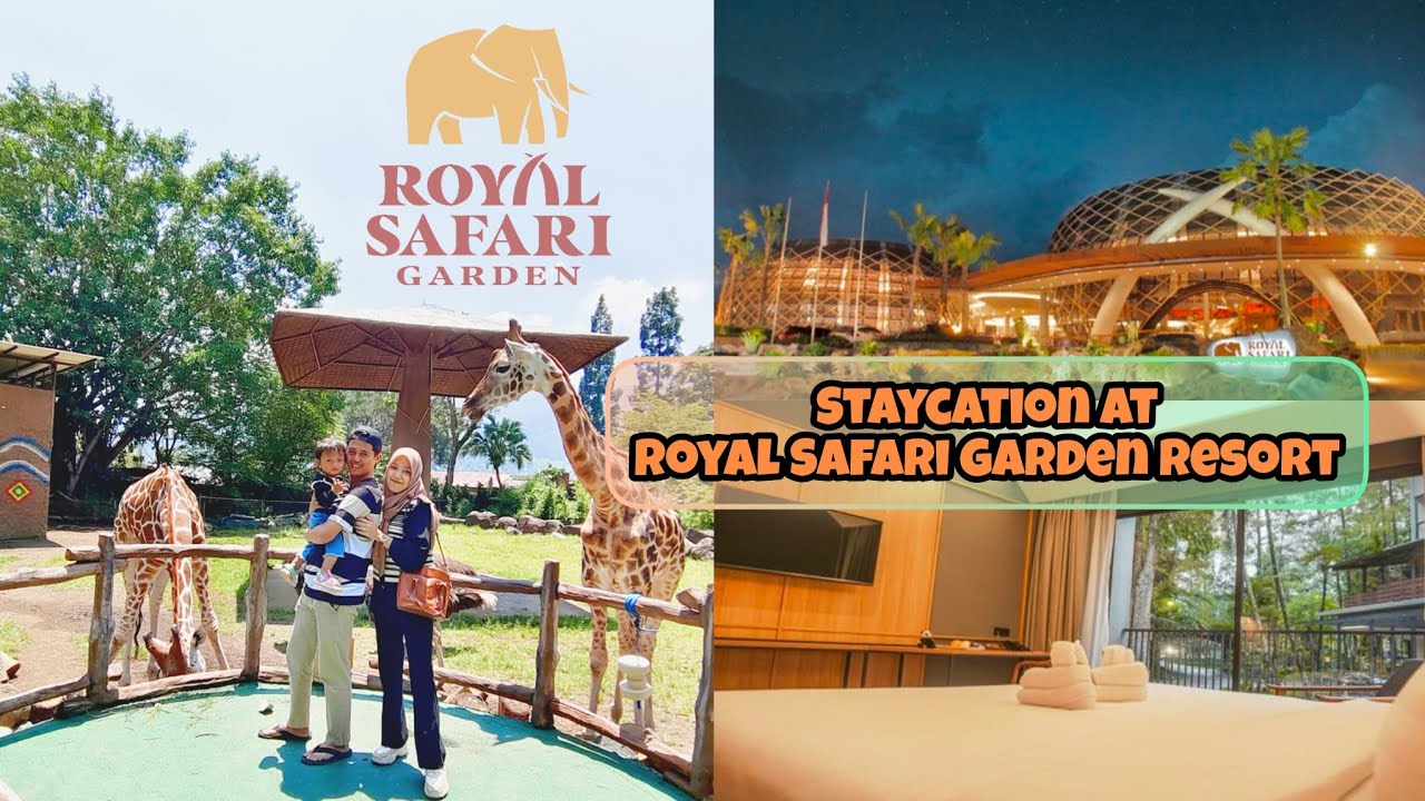 Staycation di Royal Safari Garden Resort || Spesial wedding anniversary