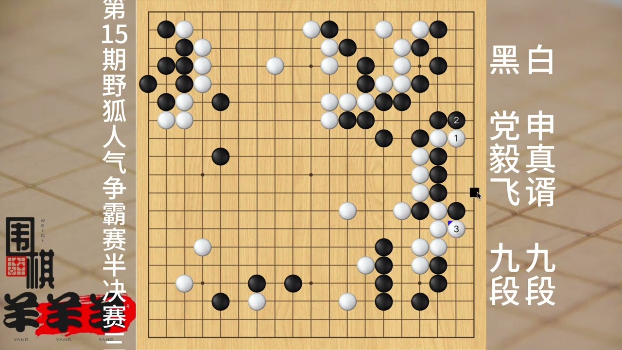 第15期野狐人氣爭霸賽半決賽決勝局，黨毅飛再次番棋贏了申真谞 #棋 #人生如棋 #休閑娛樂 #圍棋如何判輸贏 #益智游戲