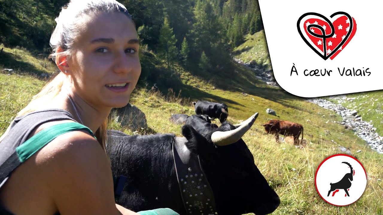 Charlène, 20 ans, le pari de l’agriculture! - À cœur Valais Ep1