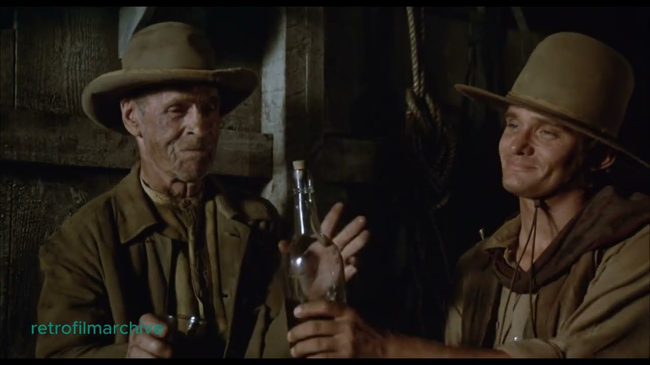 The Culpepper Cattle Co. (1972)