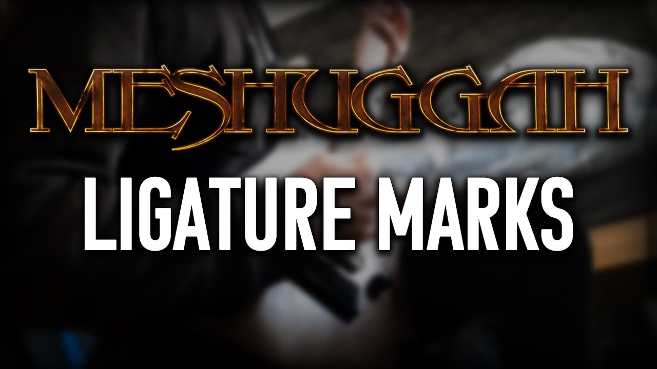 Meshuggah - 