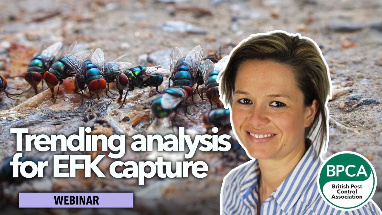 Trending analysis for EFK capture