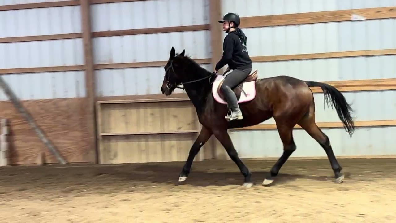 Daylyn Ryeson- Walk Trot