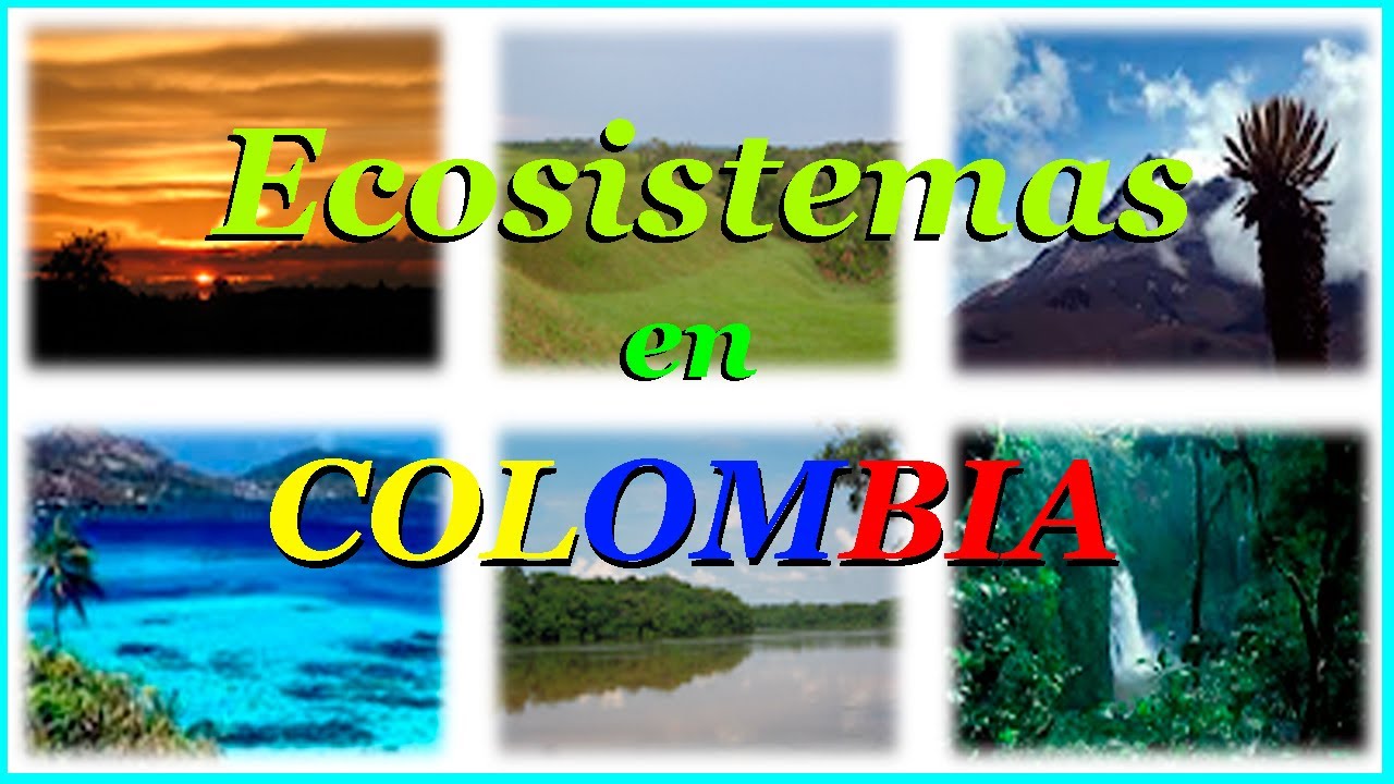 Ecosistemas en Colombia