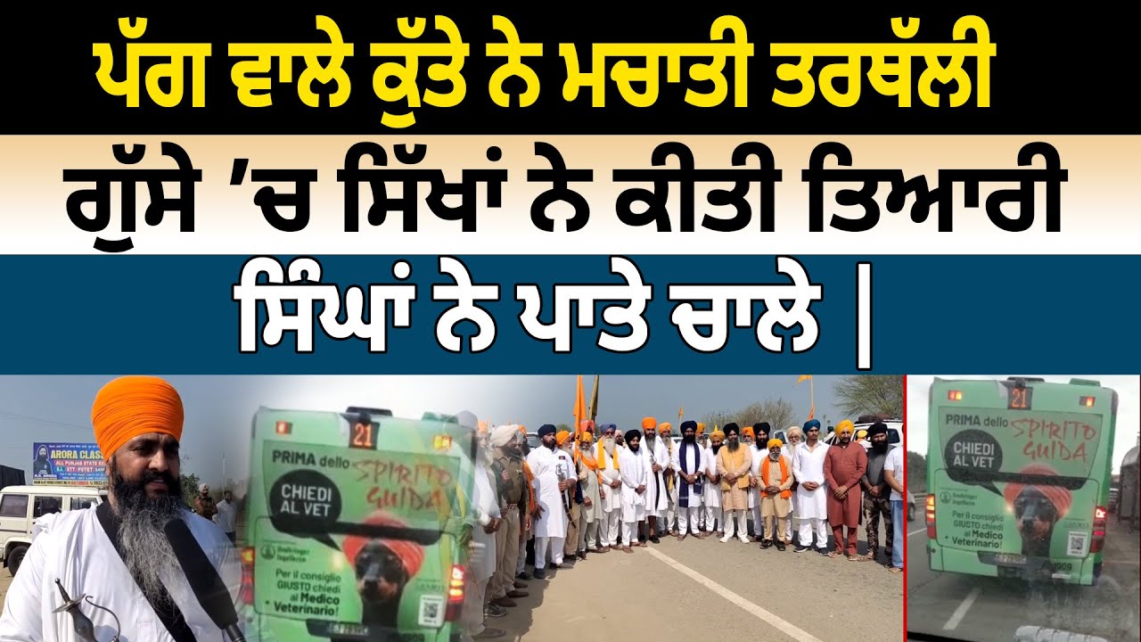 ਪੱਗ ਵਾਲੇ ਕੁੱਤੇ ਨੇ ਮਚਾਤੀ ਤਰਥੱਲੀ, ਗੁੱਸੇ ’ਚ ਸਿੱਖਾਂ ਨੇ ਕੀਤੀ ਤਿਆਰੀ | Turban on Dog Italy