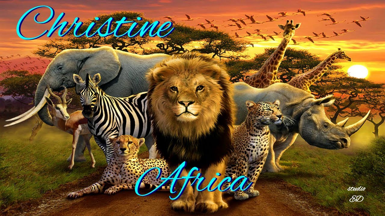 Africa, Rose Laurens cover Christine