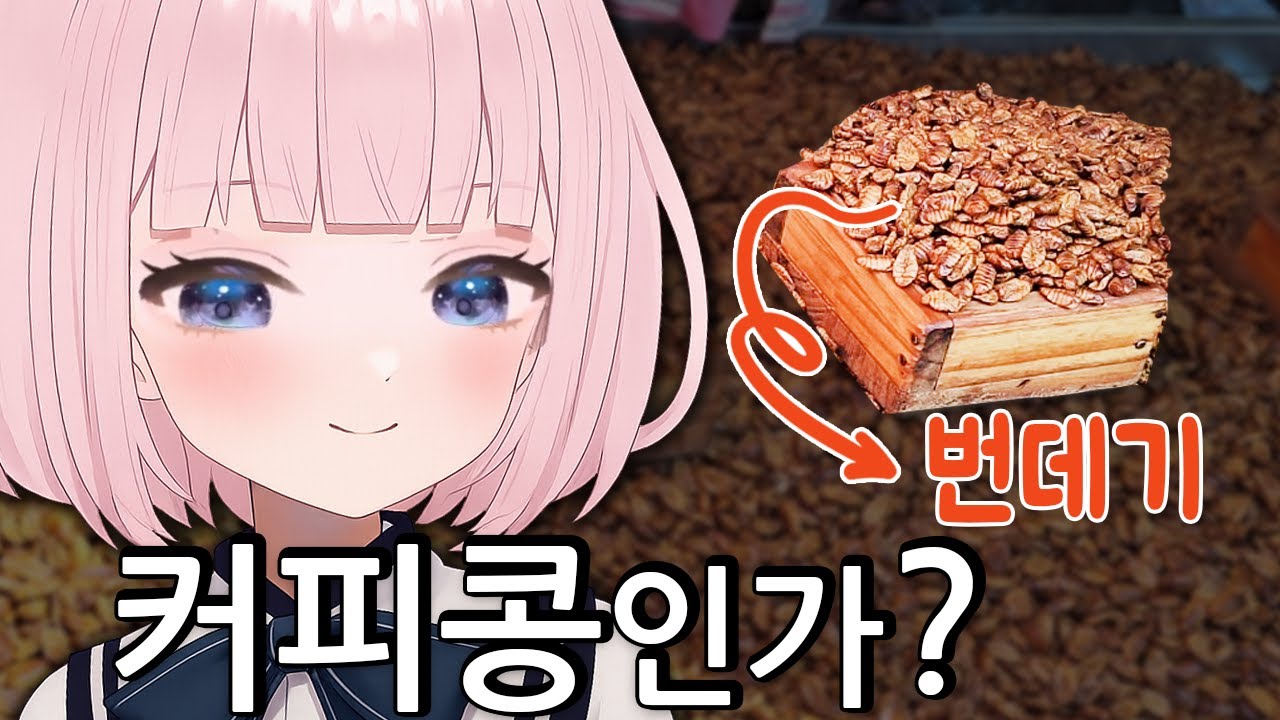 한국의 전통시장을 보고 깜짝 놀란 일본인 버튜버