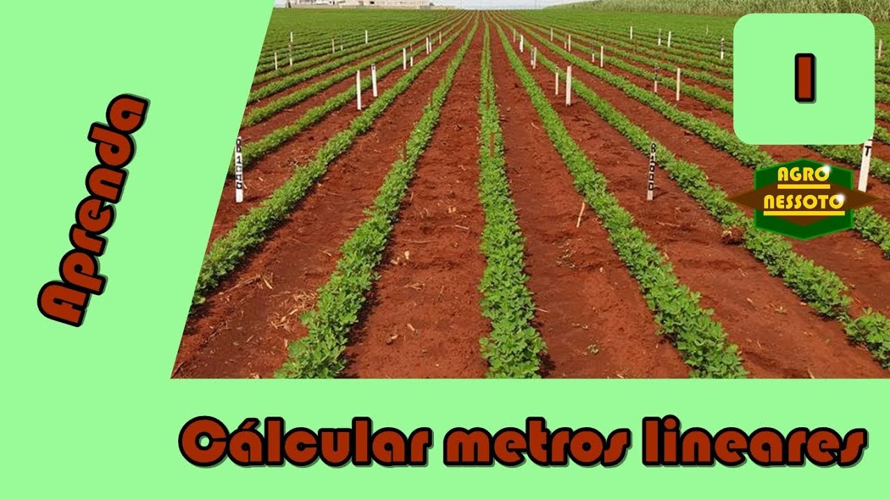 Cálculo de metros lineares na agricultura - Aprenda / PT-BR
