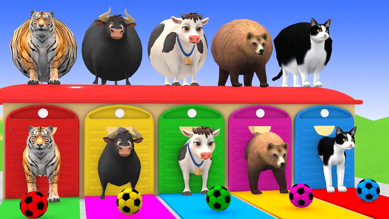 Playing as Spiderman in Long Slide Game with Cow Elephant Gorilla Hippo Tiger Funny 3d Animal Game