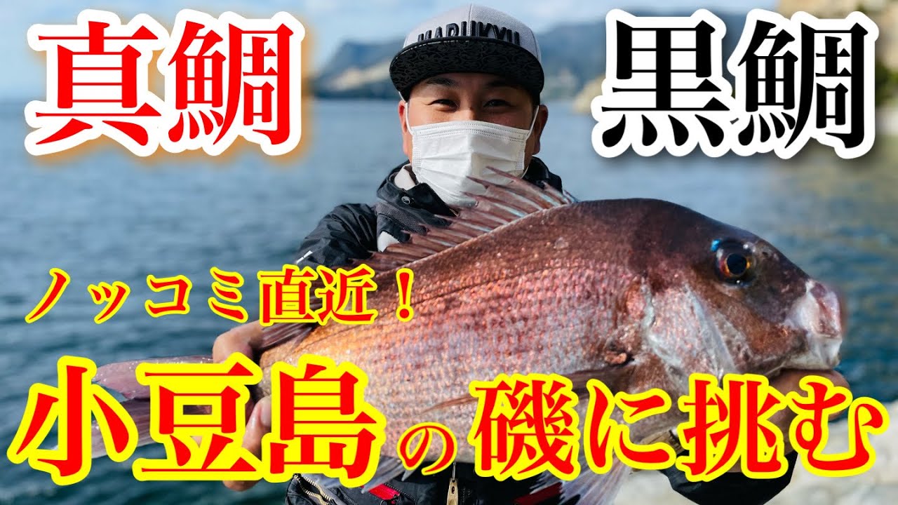 【小豆島】ノッコミ直近の真鯛＆チヌに挑む！