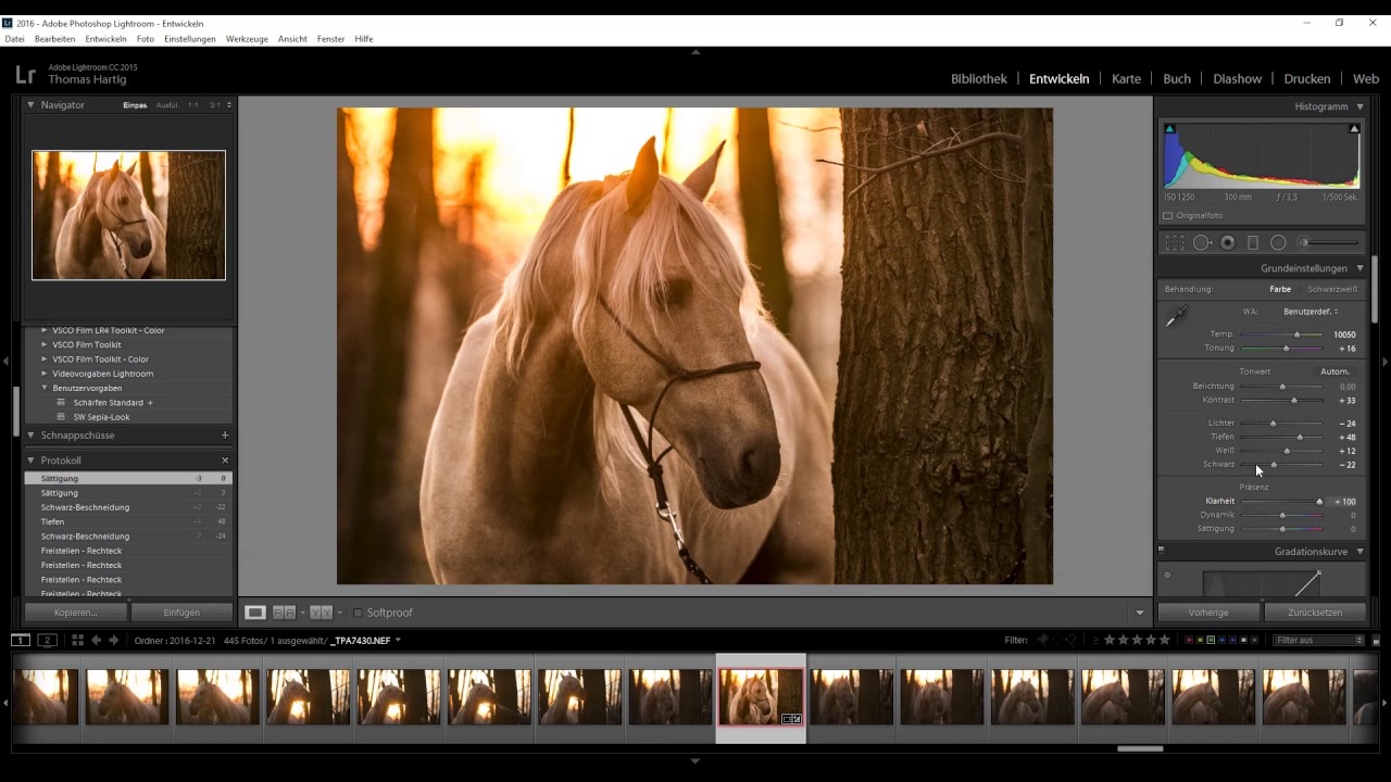 Tutorial | Basis Bildbearbeitung & Retrolook mit Lightroom