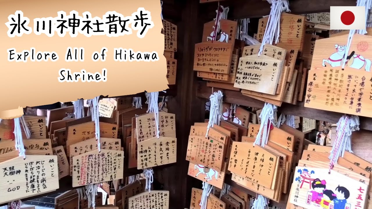 氷川神社散歩｜参道・拝殿・稲荷神社を巡る癒しの神社散策