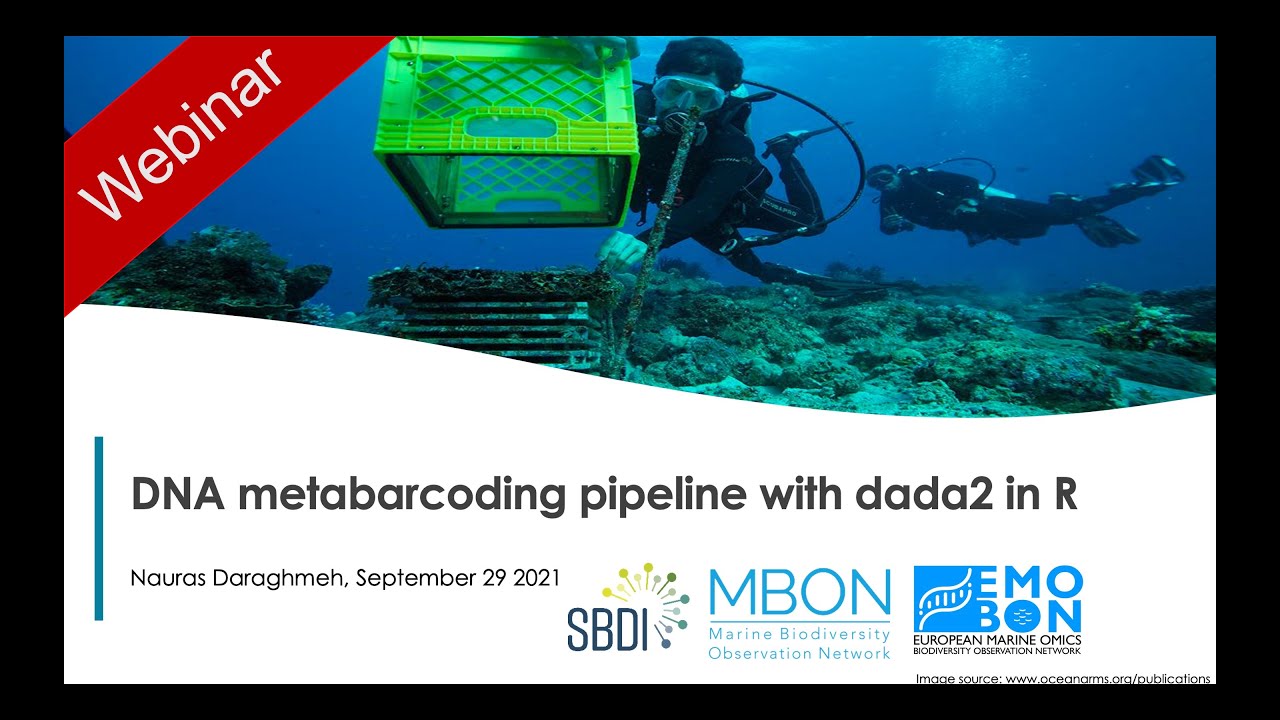 Metabarcoding analysis pipeline with dada2