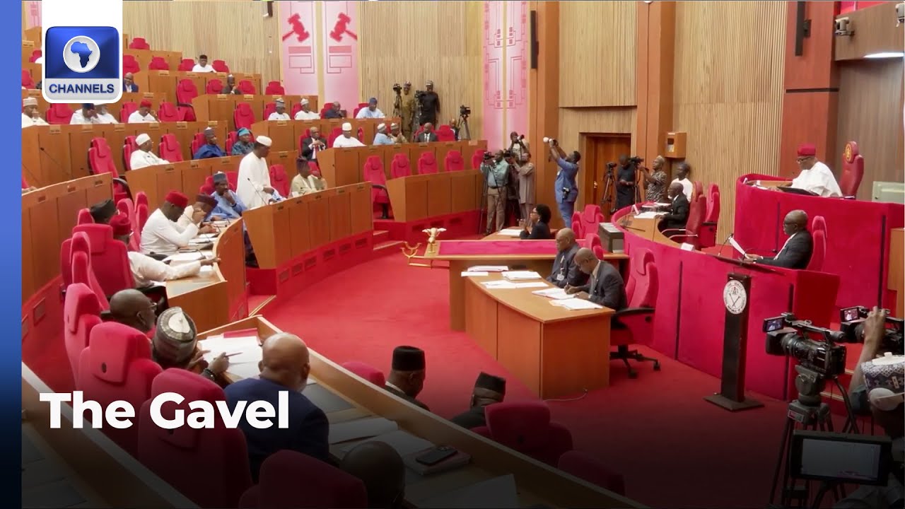 Terrorism Funding: NASS Debates Allegation Against USAID | The Gavel