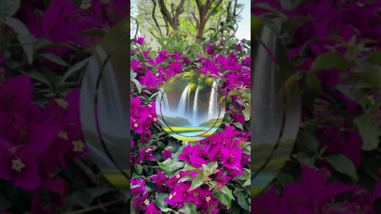 לימוד סימן בשלחן ערוך בדקה ורבע. אורח חיים סימן ג