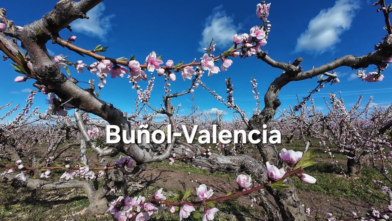 08/02/26 Buñol-Valencia