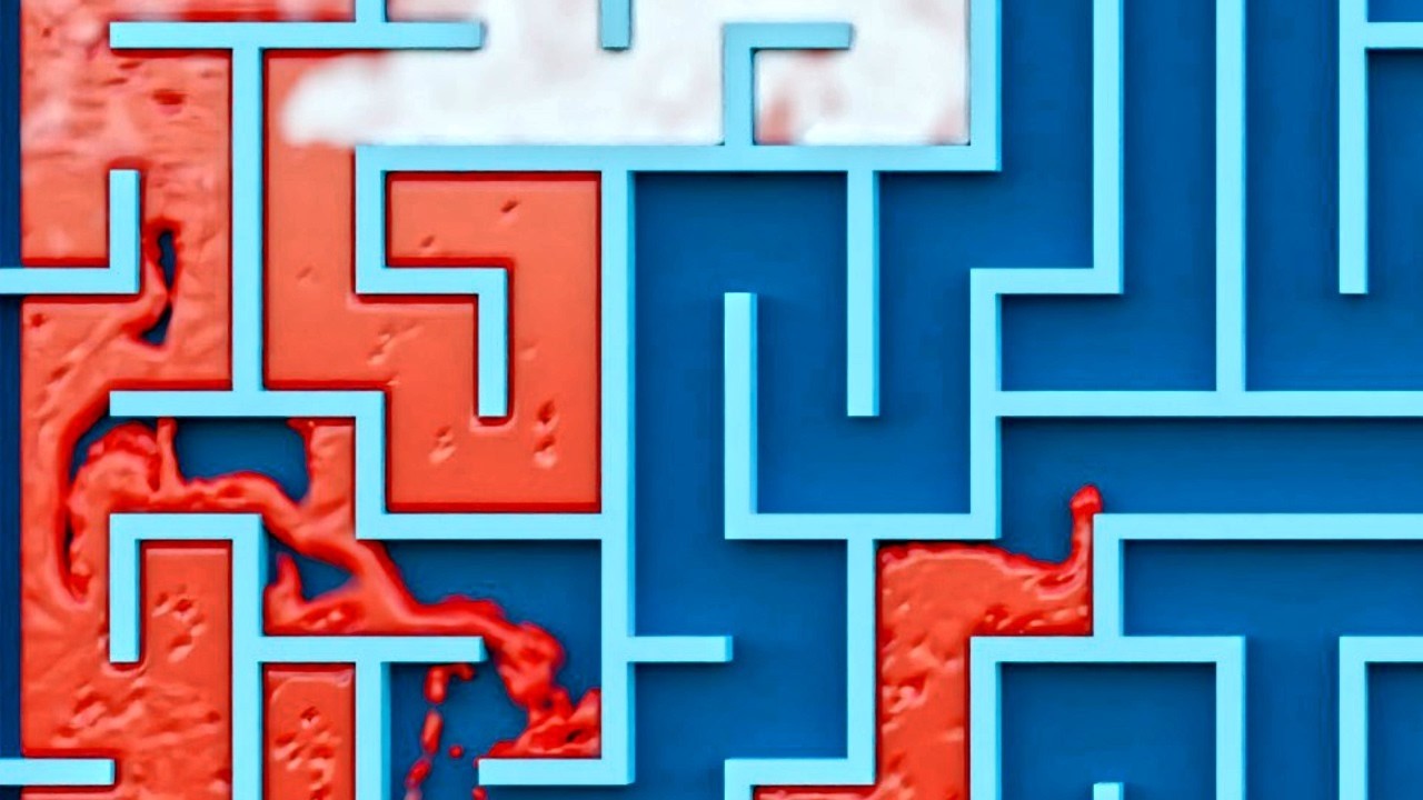 Best Fluid Maze Solves of the Year 🌊