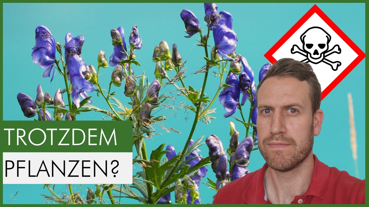 Diese heimischen Pflanzen sind hochgiftig – und trotzdem unverzichtbar im Naturgarten 